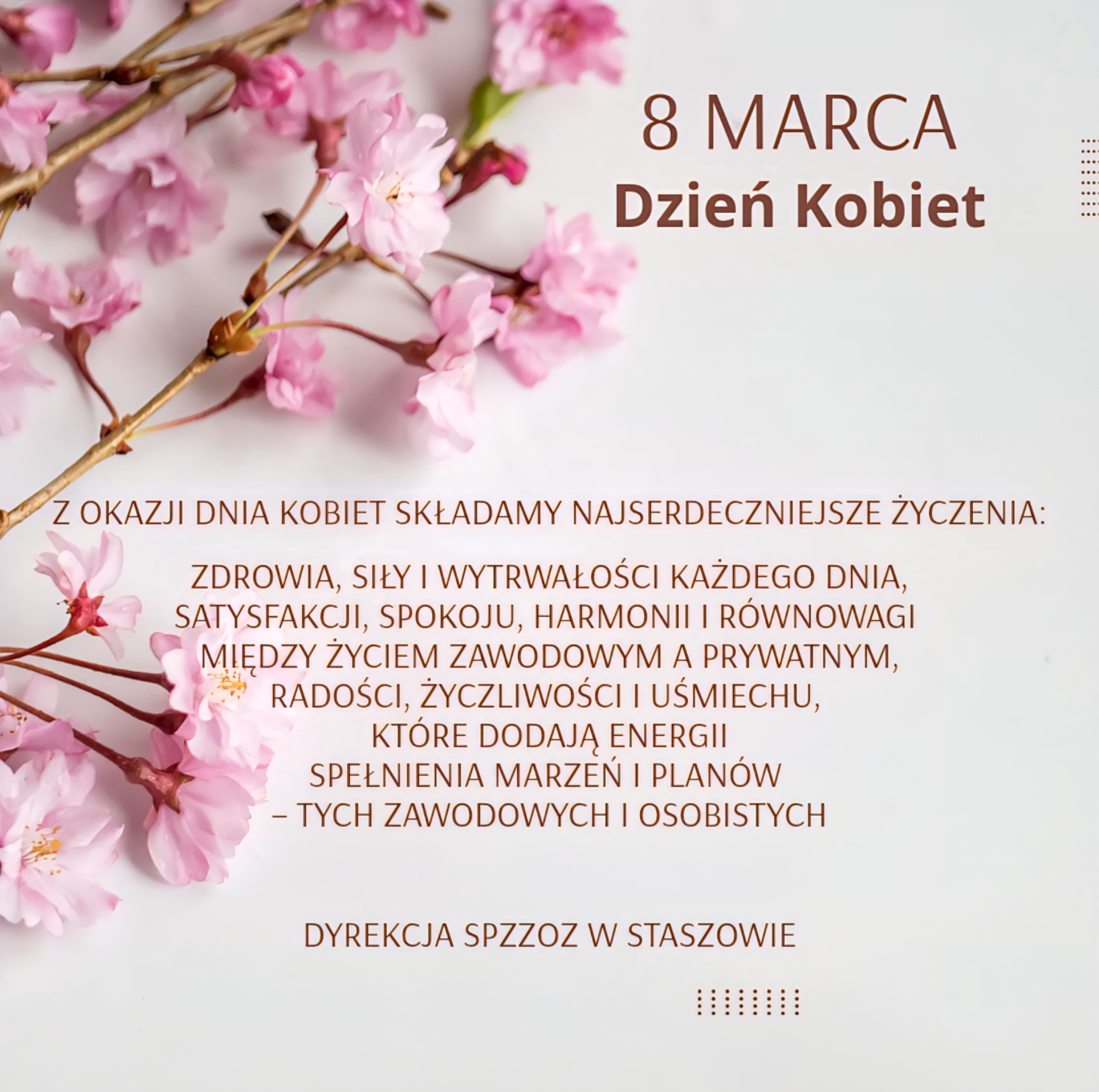 zobacz więcej zdjęć 